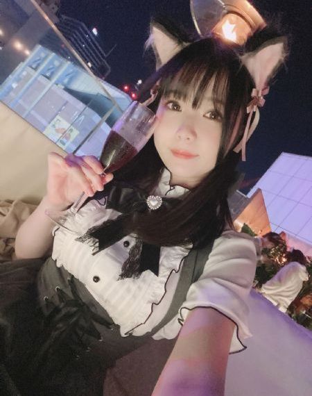 文豪野犬第一季
