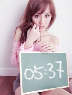 漂亮的保姆中字